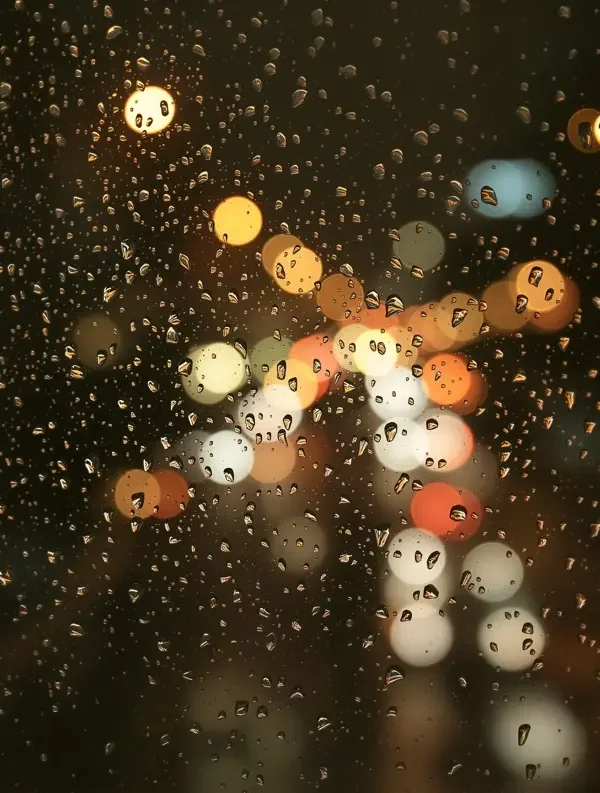 雨夜的白噪音 - 夜晚随笔 - 蘑菇视频